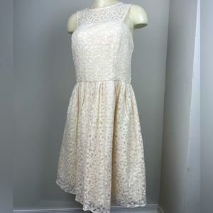 The Limited Lace Women’s Dress Size 10